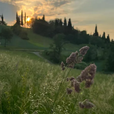 Bed & Breakfast Nuvola Fiorano Modenese