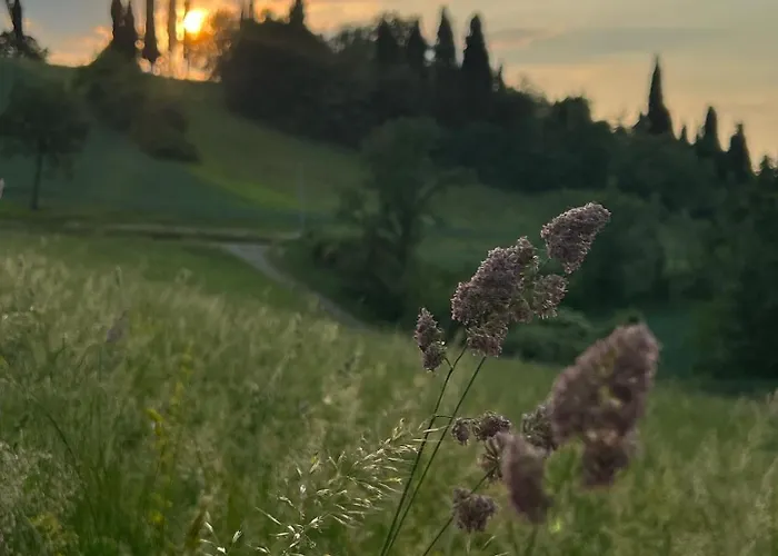 Nocleg ze śniadaniem Nuvola Fiorano Modenese