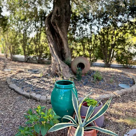 Bed & Breakfast Nuvola Fiorano Modenese