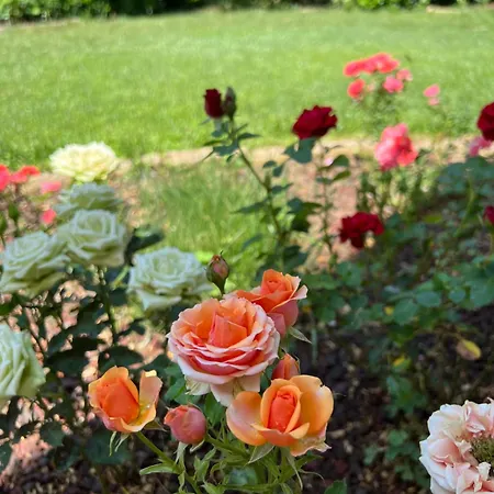 Bed & Breakfast Nuvola Fiorano Modenese