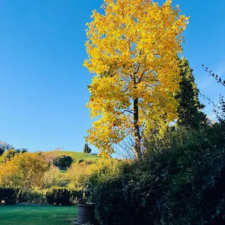 Frühstückspension Nuvola Fiorano Modenese