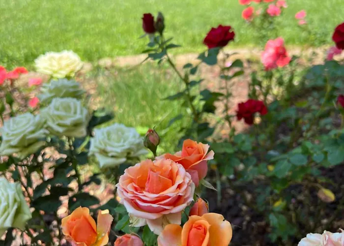 Couette-café Nuvola Fiorano Modenese