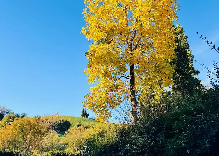 Oda ve Kahvaltı Nuvola Fiorano Modenese
